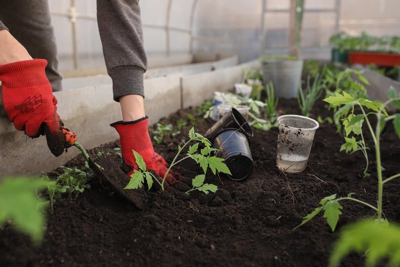 Container Garden Displays